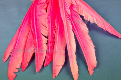 Декоративный Пучок из перьев, перо 25см/розовый - купить в Чите. Цена: 14.40 руб.