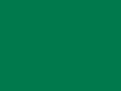 85 см № 258 яр. зеленый спираль (G) сорт-2 - купить в Чите. Цена: 16.97 руб.
