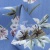 Плательная ткань "Фламенко" 12.1, 80 гр/м2, шир.150 см, принт растительный - купить в Чите. Цена 241.49 руб.