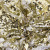 Трикотажное полотно, Сетка с пайетками, шир.130 см, #315, цв.-белый/золото - купить в Чите. Цена 693.39 руб.