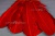 Декоративный Пучок из перьев, перо 23см/красный - купить в Чите. Цена: 11.16 руб.