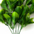 Трава искусственная -1, шт (эвкалипт лист 32 см/8 см)				 - купить в Чите. Цена: 169.93 руб.