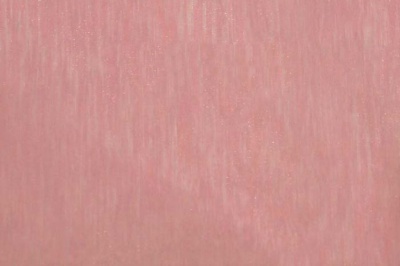 Органза однотонная "Амелия" С19 (Розовый) 280 см - купить в Чите. Цена 303.09 руб.