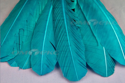 Декоративный Пучок из перьев, перо 24см/голубой - купить в Чите. Цена: 12.19 руб.