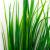 Трава искусственная -2, шт (осока 41см/8 см)				 - купить в Чите. Цена: 104.57 руб.
