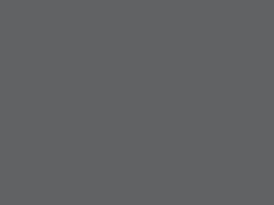 Слайдер галантерейный Т5 С301, цвет тём.серый - купить в Чите. Цена: 2.05 руб.