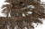 008-коричневый, Бахрома арт.001 шир.10см (упак.12+/-0,5м) - купить в Чите. Цена: 1 017.33 руб.