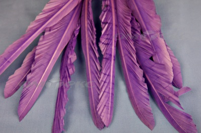 Декоративный Пучок из перьев, перо 25см/фиолетовый - купить в Чите. Цена: 12.19 руб.