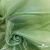 Ткань органза, 100% полиэстр, 28г/м2, шир. 150 см, цв. #27 зеленый - купить в Чите. Цена 86.24 руб.