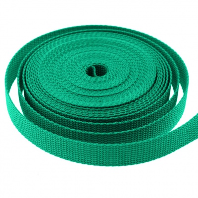 Стропа текстильная, шир. 25 мм (в нам. 50+/-1 ярд), цвет яр.зелёный - купить в Чите. Цена: 397.52 руб.