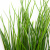 Трава искусственная -4, шт  (осока 50 см/8 см  7 листов)				 - купить в Чите. Цена: 130.73 руб.