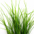 Трава искусственная -3, шт (осока 50 см/8 см  5 листов)				 - купить в Чите. Цена: 124.17 руб.